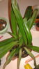 20151020_184831.jpg