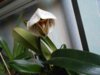 DSCN4842.JPG