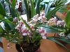DSCN4901.JPG