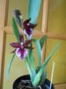 DSCN4946.JPG