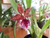 DSCN4936.JPG