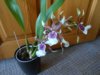 DSCN4898.JPG