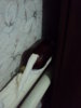 DSC01310.JPG