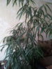 20151031_152817.jpg