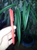 20151031_153908.jpg