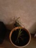 20151108_095427.jpg
