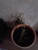20151108_095451.jpg