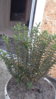 20151111_131954.jpg