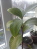 IMAGE00022.jpg
