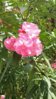 20150727_145655.jpg