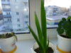 20151122_094927.jpg
