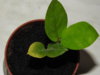 DSCN2679.JPG