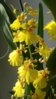 image-b7f66ffa74dab92251069caab2cf67e42917fb26f6a1d8aef89c08a136b8639b-V.jpg