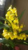 20151116_143232.jpg