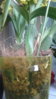 20151124_142535.jpg