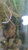 20151124_142345.jpg