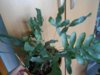 DSCN5098.JPG