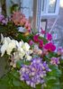 WP_20151130_15_18_09_Pro.jpg