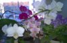 WP_20151130_15_19_45_Pro.jpg