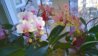 WP_20151130_15_19_30_Pro.jpg