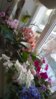 WP_20151130_15_22_04_Pro.jpg