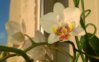 WP_20151130_15_42_56_Pro.jpg