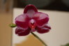 DSC_0162.JPG