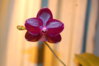 DSC_0169.JPG