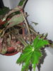20151210_184705.jpg