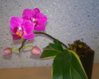 WP_20151205_10_58_24_Pro.jpg