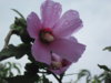 IMG_1643.jpg