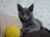 DSC01628.JPG
