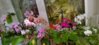 WP_20151226_20_43_58_Pro.jpg