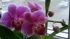 DSC_0235.JPG
