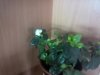 20151101145620.jpg