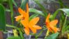 DSCN0065.JPG