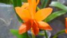 DSCN0068.JPG