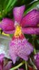 DSCN0069.JPG
