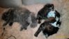 P_20160106_192151_1_p.jpg