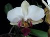 DSC01745.JPG