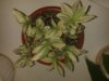 20160112_075936.jpg