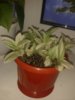 20160112_075945.jpg