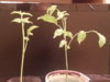 20160116_203433.jpg