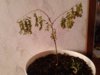 IMG_20160118_150309.jpg