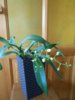 DSCN5346.JPG