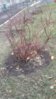 20151120_141629.jpg