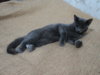 DSC01856.JPG