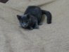 DSC01863.JPG