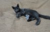 DSC01873.JPG