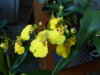 DSCN5362.JPG
